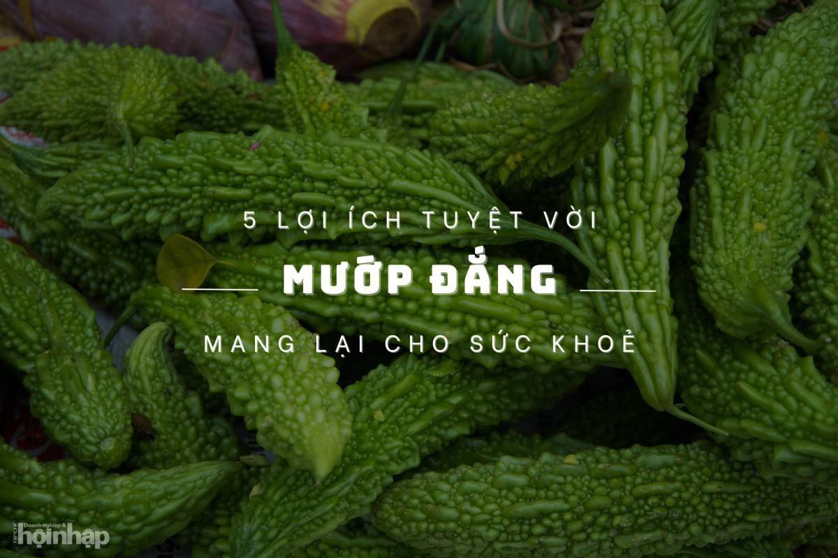 5 lợi ích tuyệt vời mà mướp đắng mang lại cho sức khoẻ