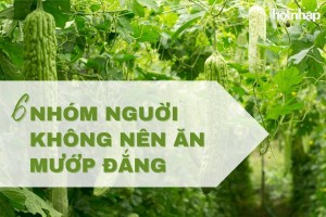 6 nhóm người không nên ăn mướp đắng để tránh gây hại sức khoẻ