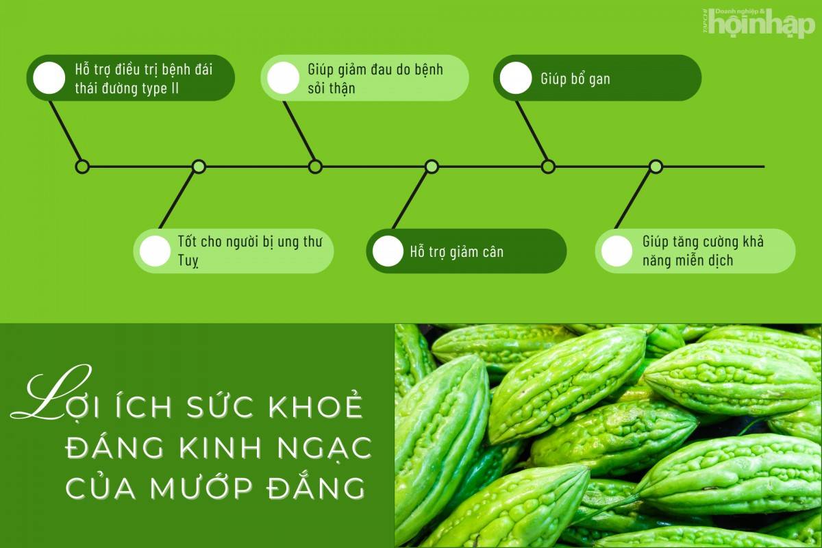 Những lợi ích sức khoẻ đáng kinh ngạc của mướp đắng Những lợi ích sức khoẻ đáng kinh ngạc của mướp đắng
