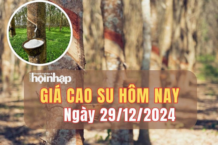 Giá cao su hôm nay 29/12: Giá cao su thế giới đồng loạt tăng, giá trong nước đi ngang Giá cao su hôm nay 29/12: Giá cao su thế giới đồng loạt tăng, giá trong nước đi ngang