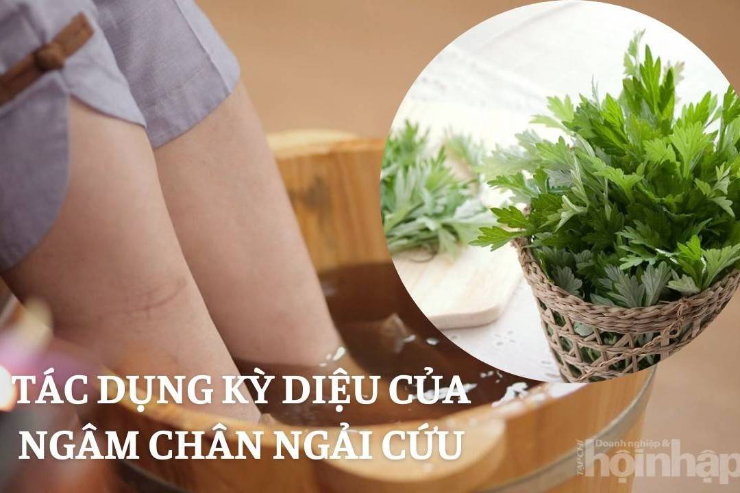 Tác dụng kỳ diệu của ngâm chân ngải cứu