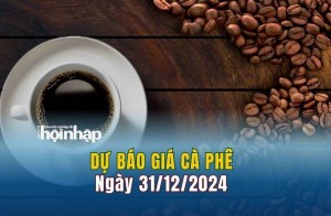 Dự báo giá cà phê 31/12: Giá cà phê nội địa và quốc tế tiếp đà giảm