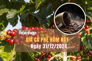 Giá cà phê hôm nay 31/12: Giá cà phê trong nước quay đầu tăng nhẹ 200 đồng/kg