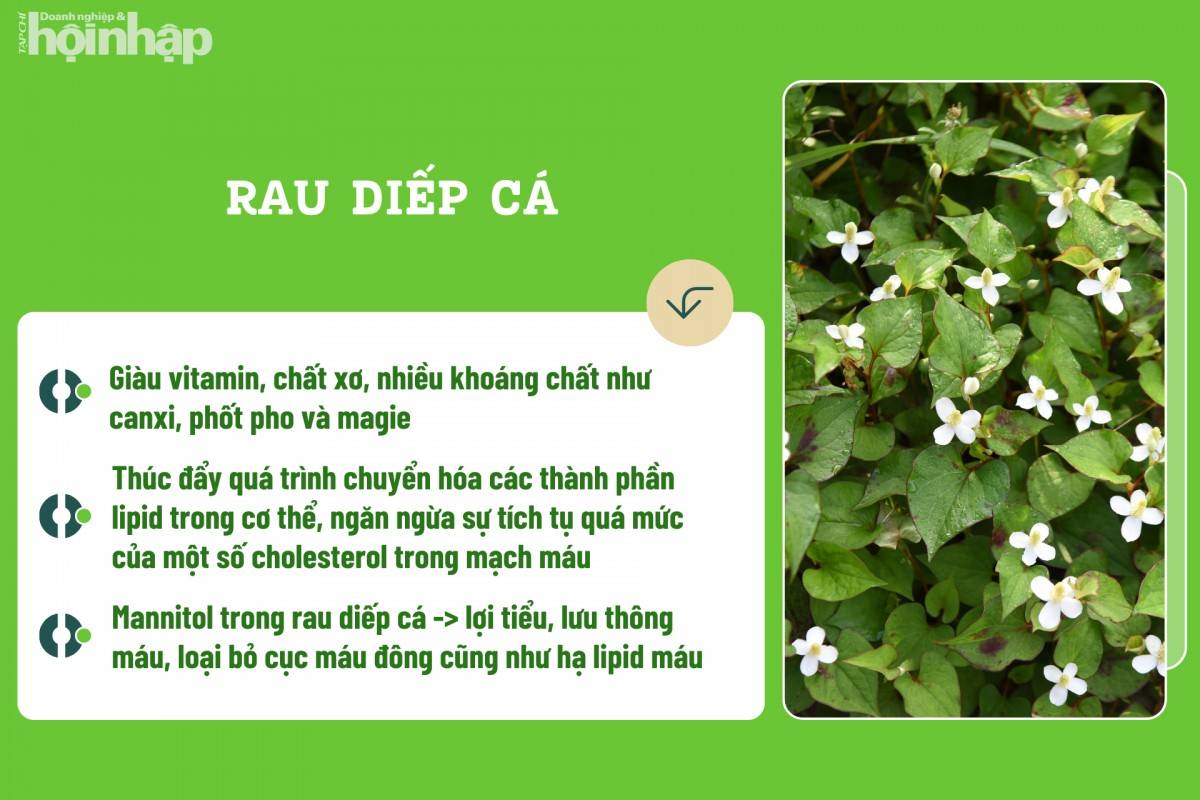 Rau diếp cá