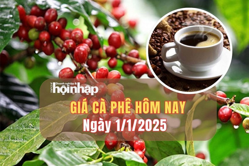 Giá cà phê hôm nay 1/1: Giá cà phê trong nước quay đầu giảm mạnh 700 đồng/kg