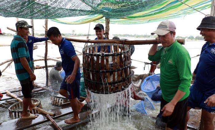 Đồng Tháp: Ứng dụng khoa học công nghệ nâng cao giá trị ngành hàng cá tra