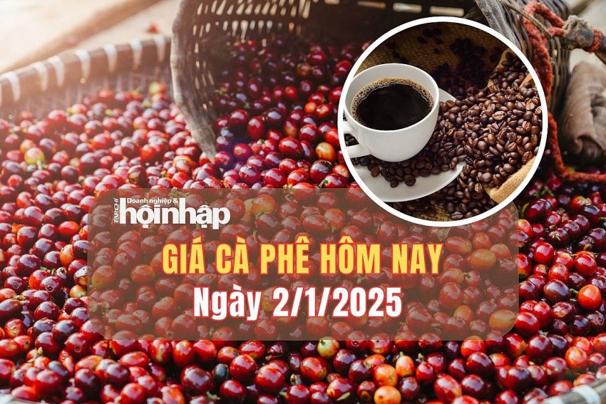 Giá cà phê hôm nay 2/1: Giá cà phê trong nước tiếp đà giảm mạnh 900 - 1.000 đồng/kg 