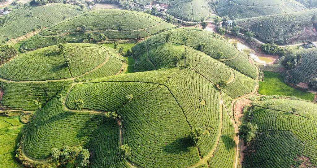 Phú Thọ chào đón hơn 13.800 lượt du khách dịp Tết Dương lịch 2025