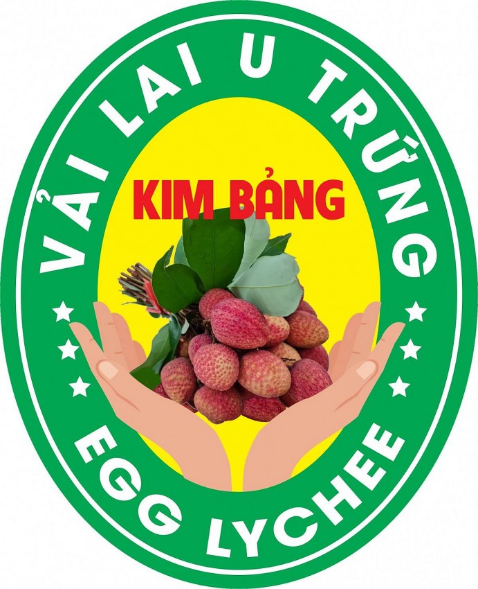 Xây dựng, quản lý và phát triển nhãn hiệu chứng nhận Vải lai U trứng Kim Bảng