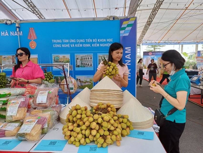 Xây dựng, quản lý và phát triển nhãn hiệu chứng nhận Vải lai U trứng Kim Bảng