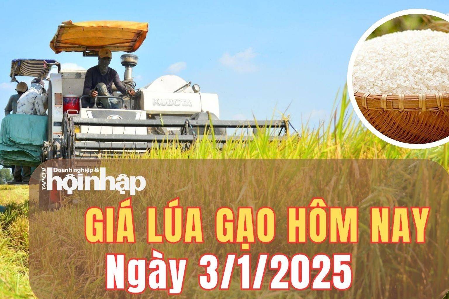 Giá lúa gạo hôm nay 3/1/2025: Giá gạo nguyên liệu IR 504 tăng nhẹ 50 đồng/kg, giá lúa ổn định