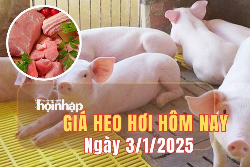 giá heo hơi