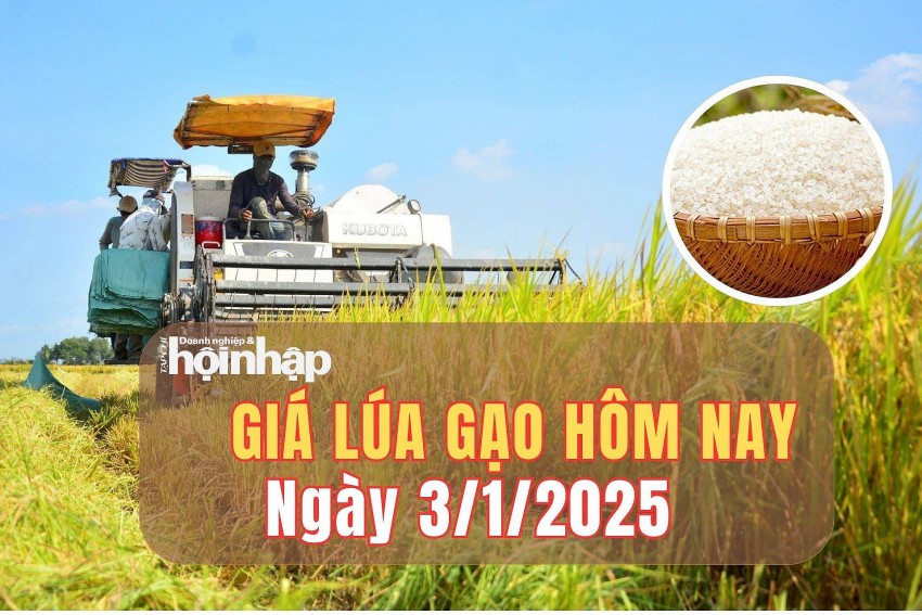 giá lúa gạo