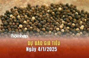 Dự báo giá tiêu 4/1: Giá tiêu nội địa tăng mạnh, tiêu thế giới giảm nhẹ