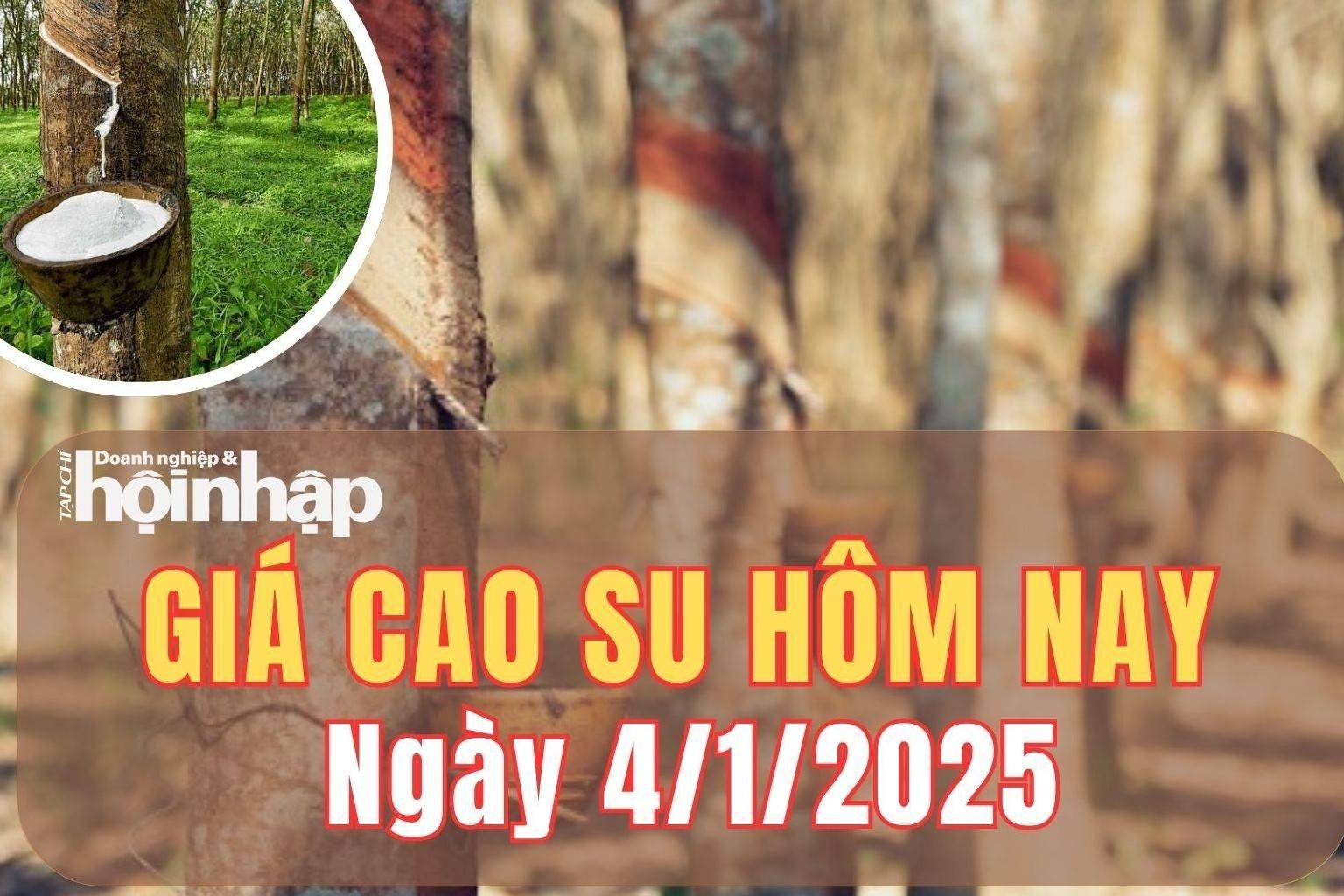 Giá cao su hôm nay 4/1/2025: Tại Công ty Cao su Bà Rịa, giá mủ nước tăng 5 đồng/TSC