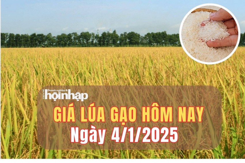 giá lúa gạo