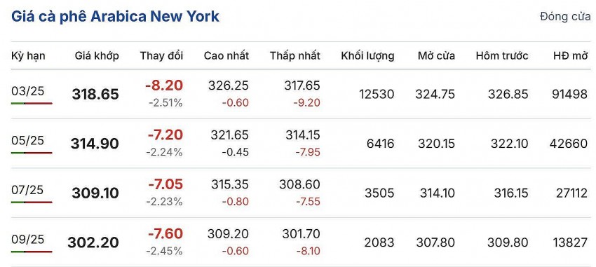 Giá cà phê hôm nay 4/1/2025: Khu vực Tây Nguyên, giá cà phê đồng loạt tăng mạnh từ 2.500 - 2.700 đồng/kg