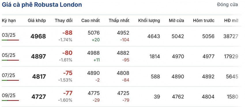Giá cà phê hôm nay 4/1/2025: Khu vực Tây Nguyên, giá cà phê đồng loạt tăng mạnh từ 2.500 - 2.700 đồng/kg