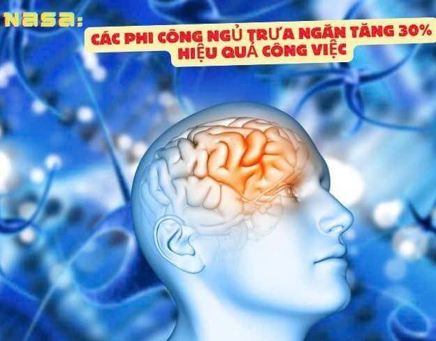 Giấc ngủ trưa ngắn: Ít người biết về lợi ích thực sự