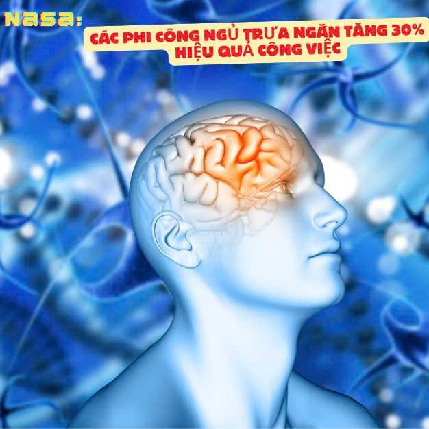 Giấc ngủ trưa ngắn: ít người biết về lợi ích thực sự