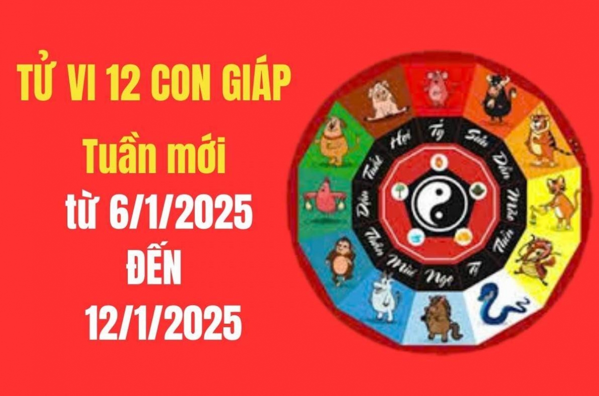 Tử vi 2025 12 con giáp