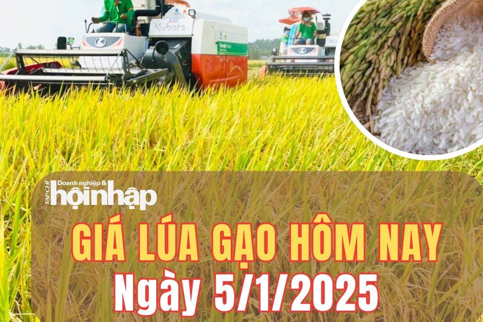 Giá lúa gạo hôm nay 5/1/2025: Phiên cuối tuần, giá lúa gạo trong nước và xuất khẩu đồng loạt giảm