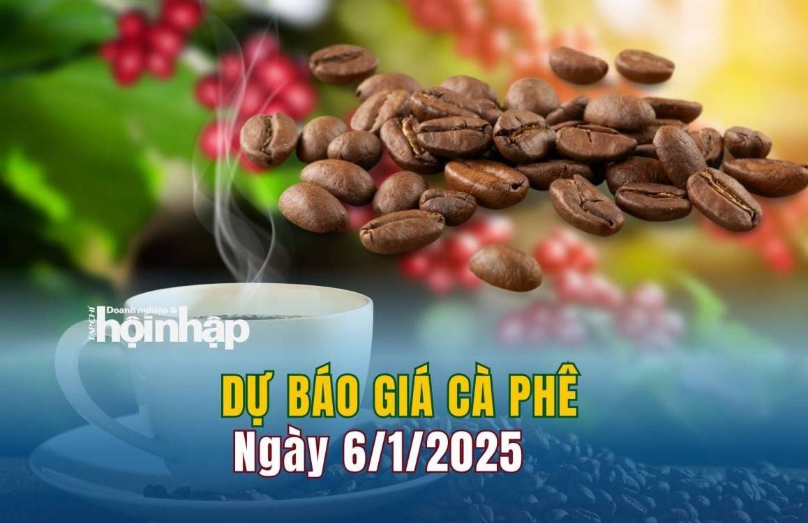 Dự báo giá cà phê 6/1: Giá cà phê trong nước tiếp tục đà giảm