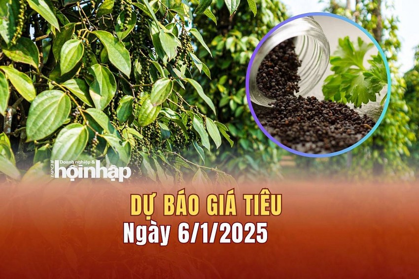 Dự báo giá tiêu 6/1/2025