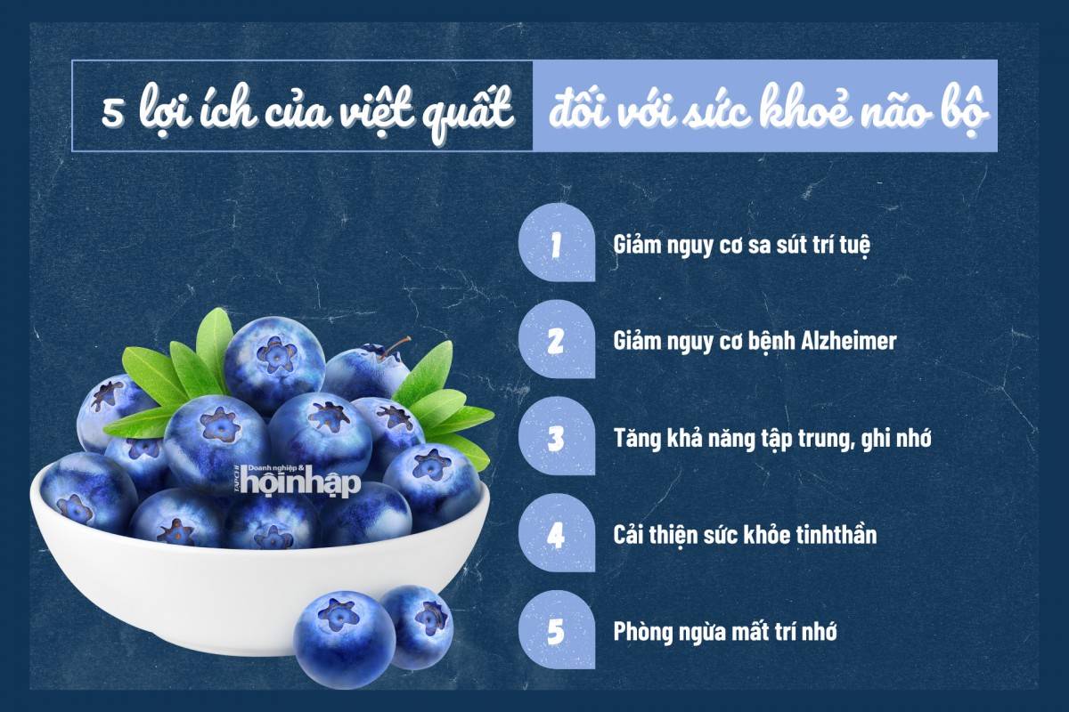 5 lợi ích của việt quất đối với sức khoẻ não bộ