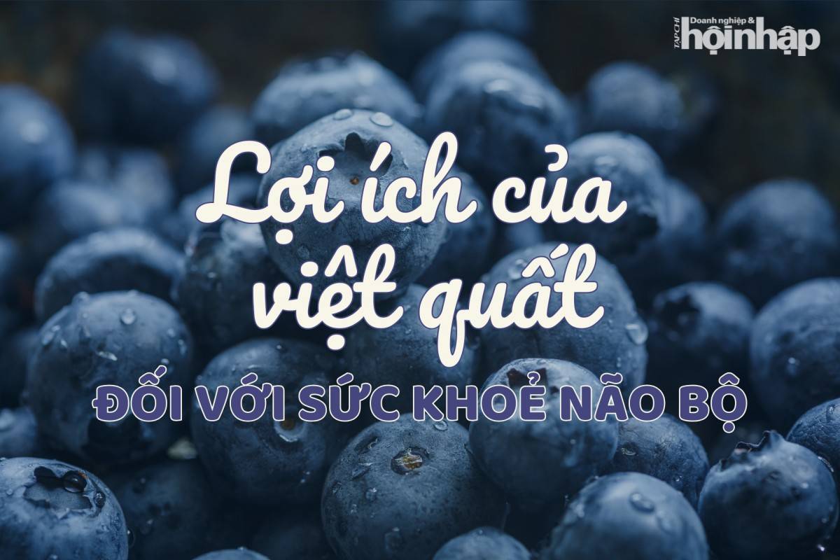 Lợi ích của việt quất đối với sức khoẻ não bộ