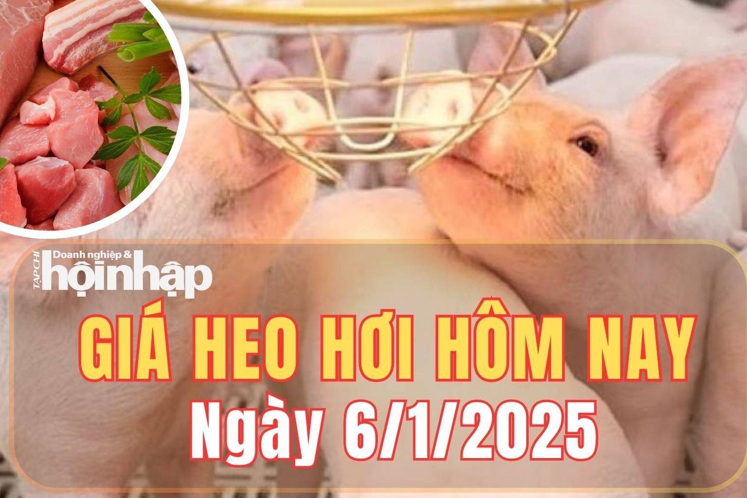 Giá heo hơi hôm nay 6/1/2025: Khu vực miền Nam, giá heo hơi tăng 1.000 đồng/kg