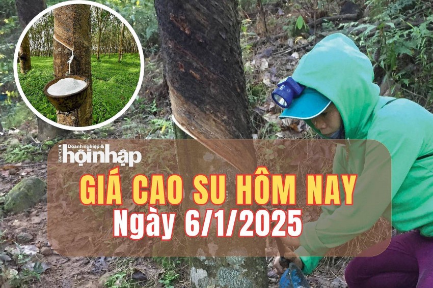 giá cao su giá cao su