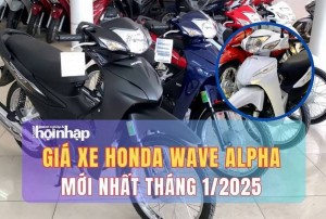 Giá xe máy Honda Wave Alpha mới nhất tháng 1/2025, giá xe Wave Alpha bản tiêu chuẩn từ 17 triệu đồng