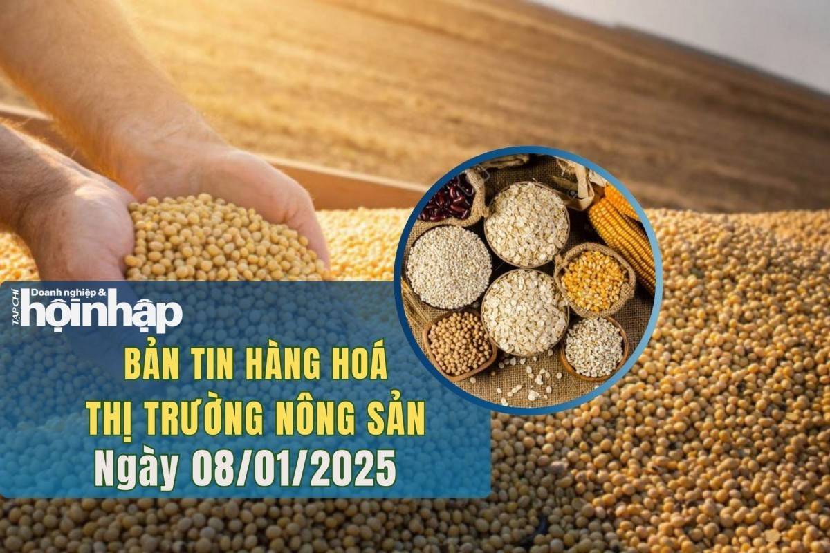 Thị trường nhóm nông sản 8/1: Giá lúa mì và ngô tăng, đậu tương giảm