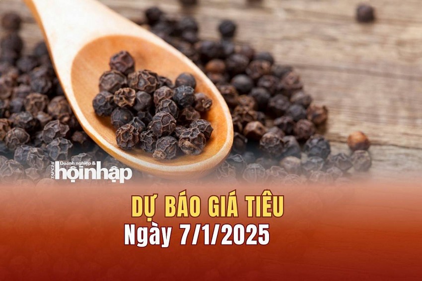 Dự báo giá tiêu 7/1/2025
