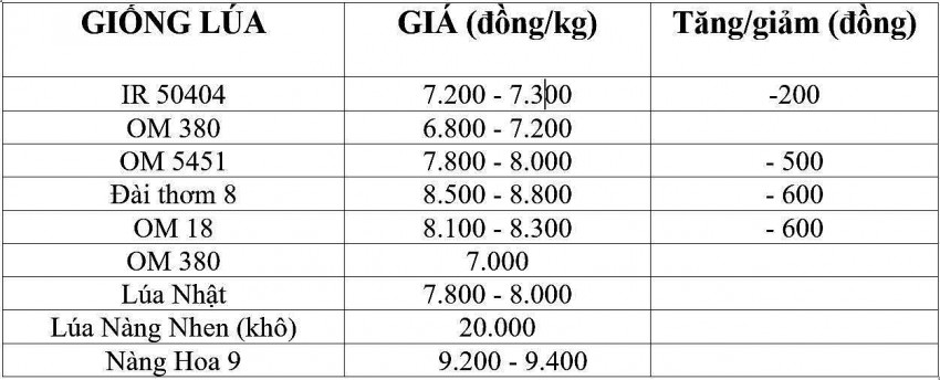Bảng giá lúa hôm nay 7/1/2025.