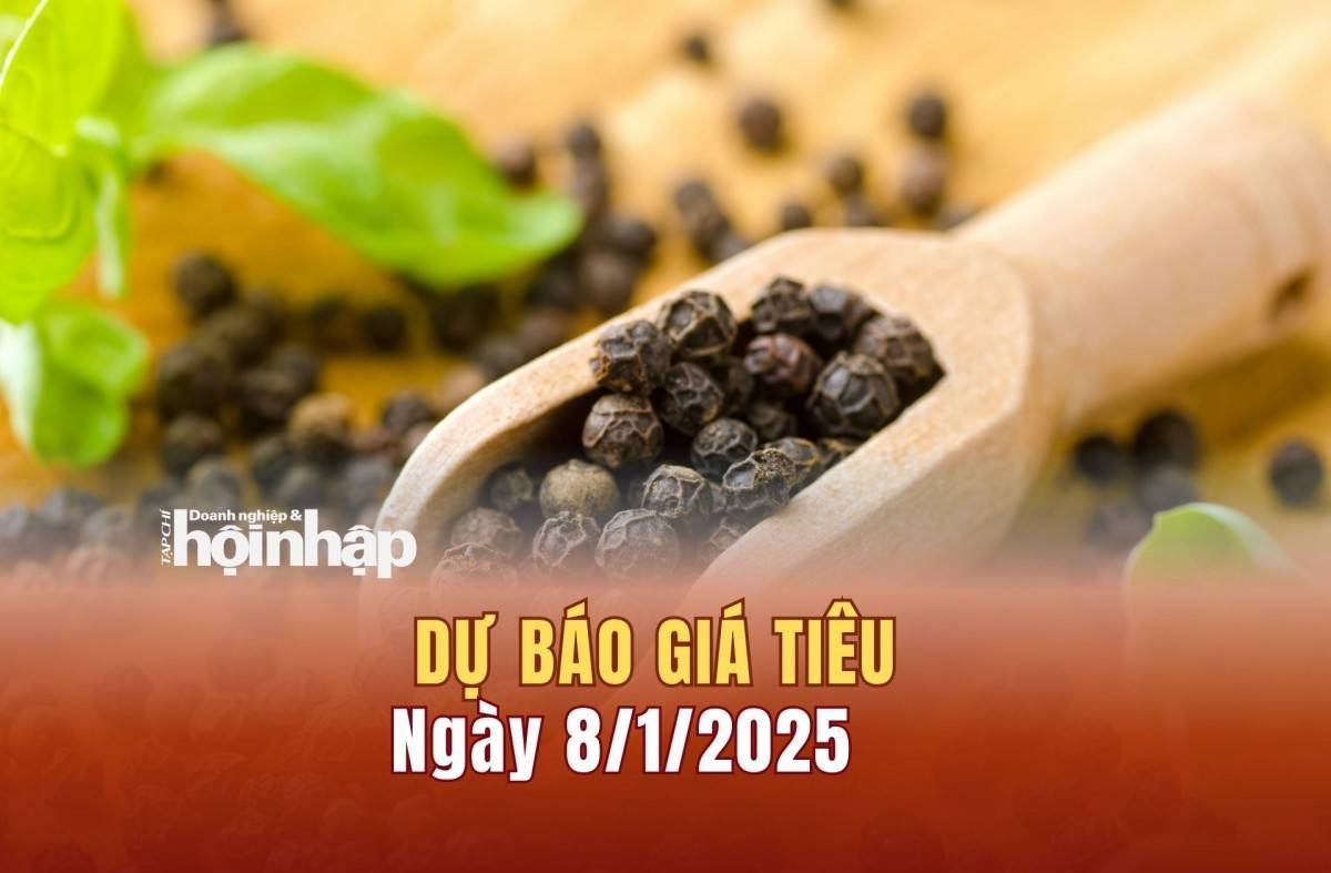 Dự báo giá tiêu 8/1: Giá tiêu trong nước tăng mạnh