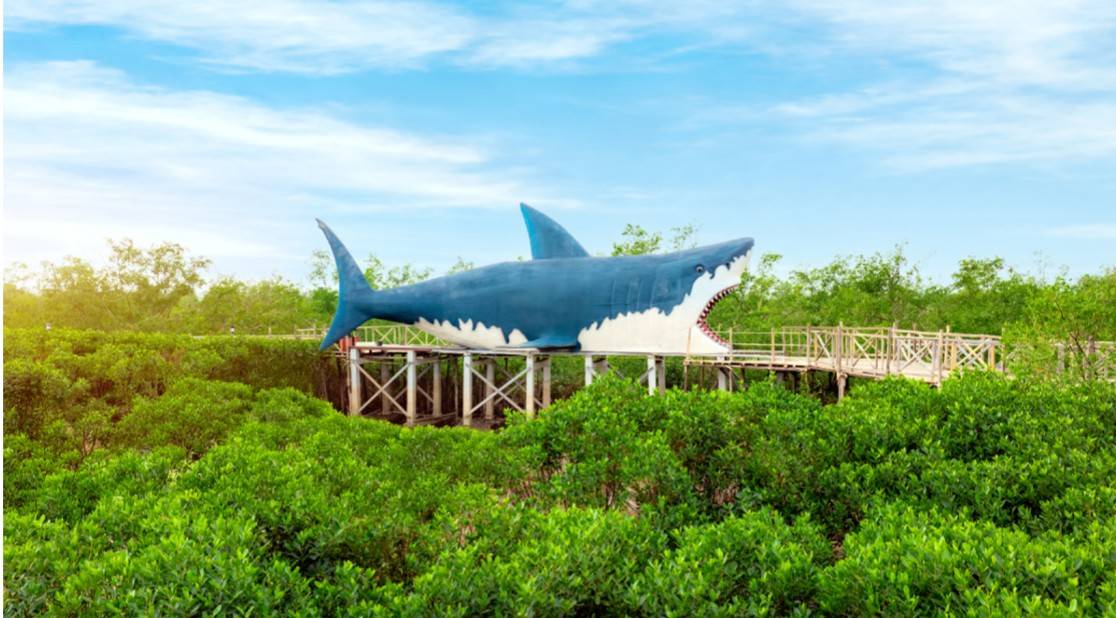 Công viên sinh thái trong rừng ngập mặn Dragon Mangrove Forest (nguồn Dragon Ocean Đồ Sơn)