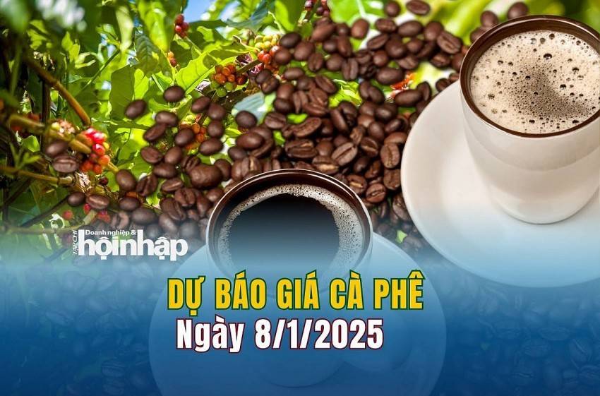 Dự báo giá cà phê 8/1: Giá cà phê nội địa tăng, cà phê thế giới tăng - giảm trái chiều