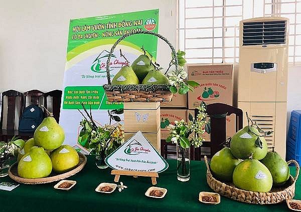 Đồng Nai ban hành chương trình xúc tiến thương mại năm 2025 Đồng Nai ban hành chương trình xúc tiến thương mại năm 2025