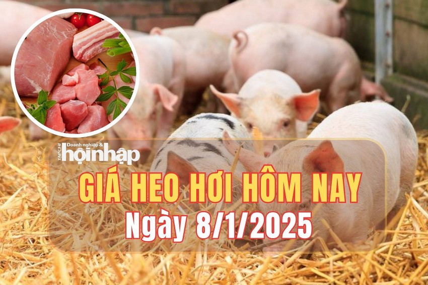 giá heo hơi