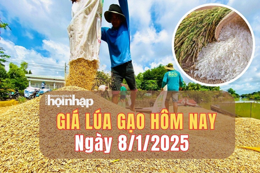 giá lúa gạo