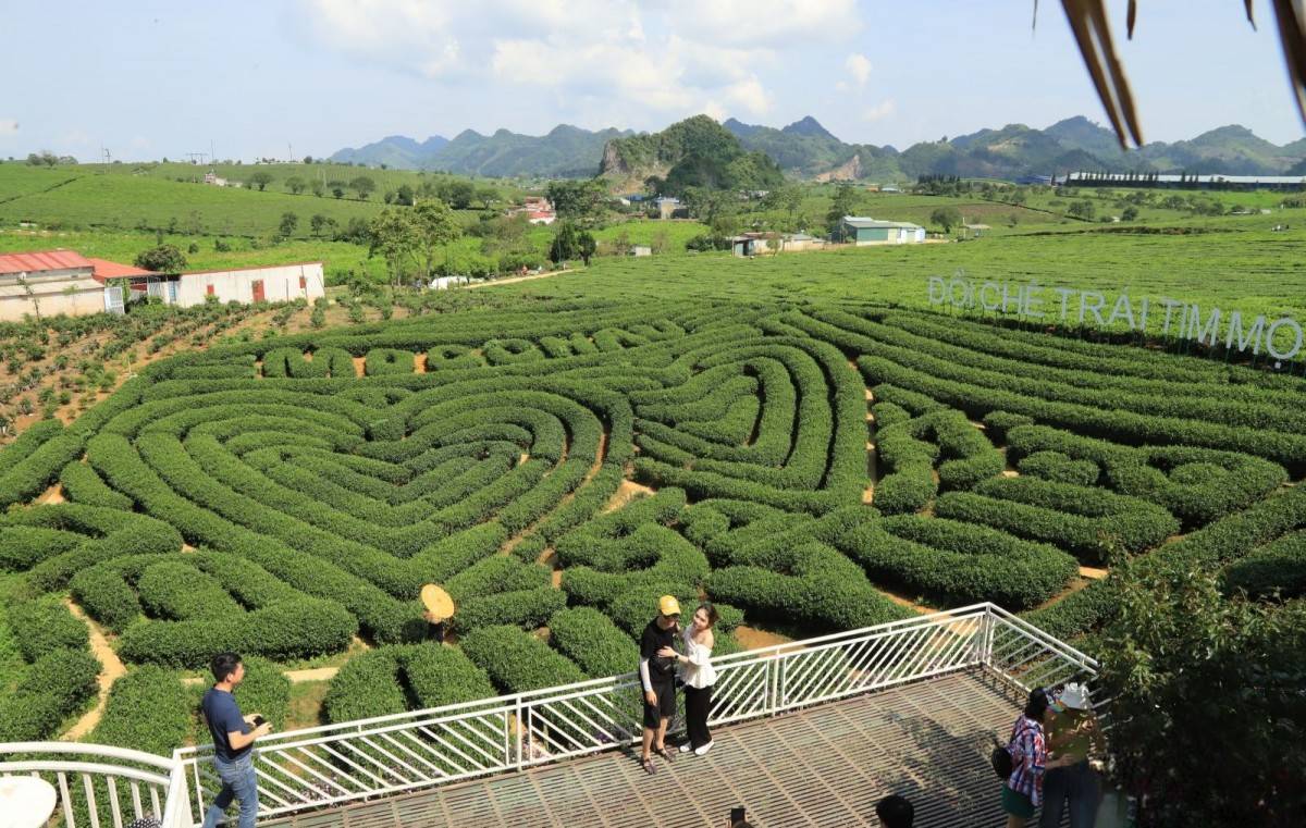 Mộc Châu (Sơn La): Thiên đường du lịch hấp dẫn bậc nhất năm 2024