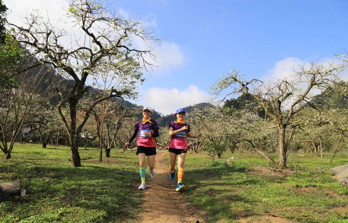 Mộc Châu (Sơn La): Thiên đường du lịch hấp dẫn bậc nhất năm 2024