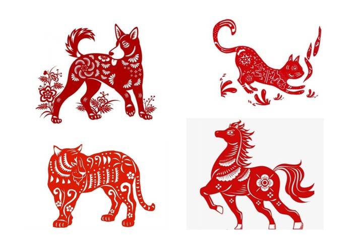 Tử vi - Vận số ngày 11/01/2025: tuổi Tuất có thể sẽ cảm thấy bốc đồng và xốc nổi, dễ dàng đưa ra những quyết định thiếu tỉnh táo và suy nghĩ thấu đáo.