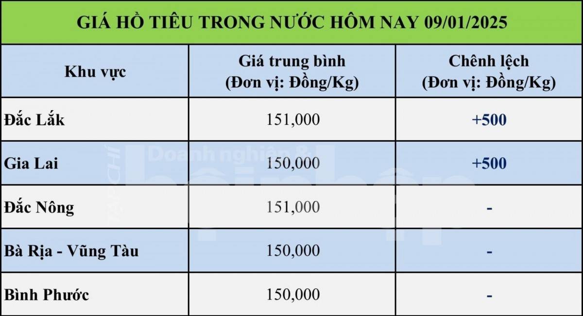 Bảng giá tiêu trong nước ngày 9/1/2025 Bảng giá tiêu trong nước ngày 9/1/2025
