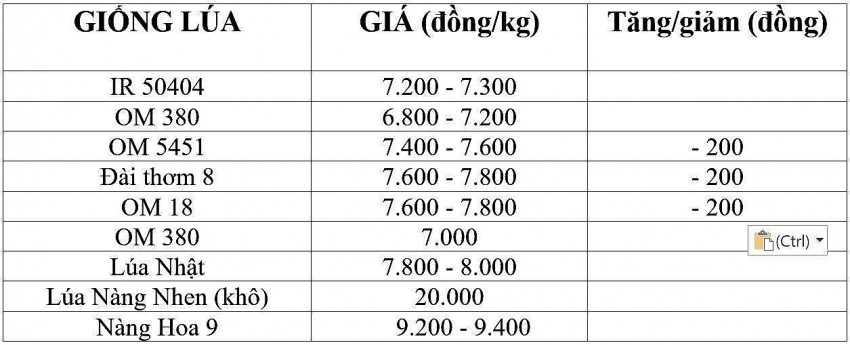Bảng giá lúa hôm nay 9/1/2025.