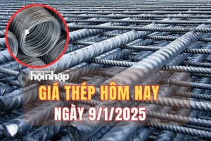 Giá thép hôm nay 9/1: Giá thép quốc tế giảm sâu, thép trong nước ổn định