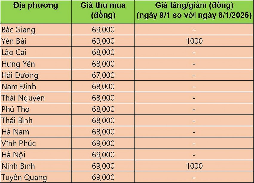 Bảng giá heo hơi tại miền Bắc hôm nay 9/1/2025.