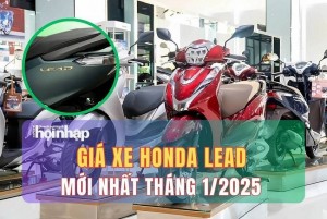 Giá xe máy Honda Lead mới nhất tháng 1/2025, giá xe Lead bản tiêu chuẩn từ 39 triệu đồng